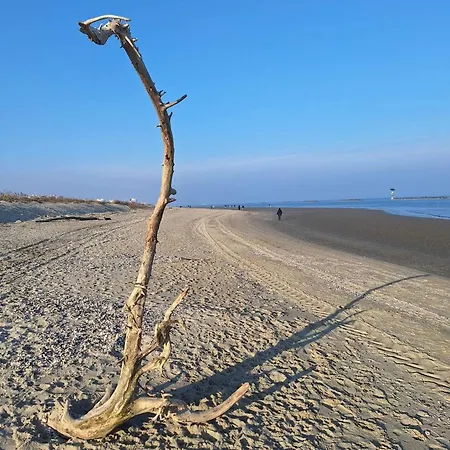 شقة La Dolce - With Shared Pool And Large Terrace *