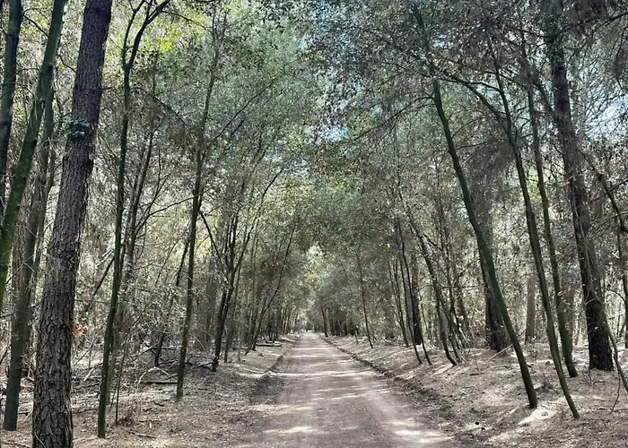 La Dolce - With Shared Pool And Large Terrace ليدو ديلي نازيوني