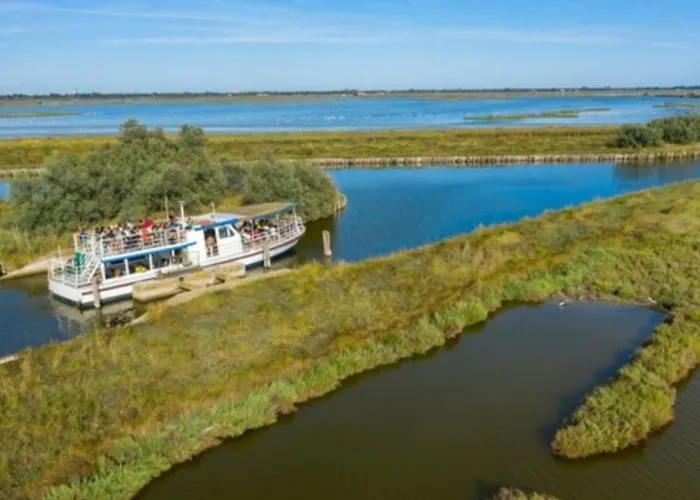 شقة La Dolce - With Shared Pool And Large Terrace ليدو ديلي نازيوني