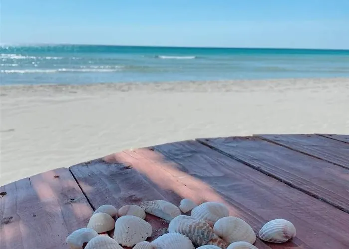 La Dolce - With Shared Pool And Large Terrace * ليدو ديلي نازيوني