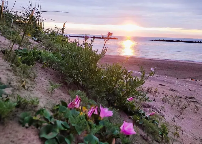 La Dolce - With Shared Pool And Large Terrace