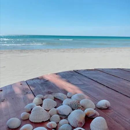 La Dolce - With Shared Pool And Large Terrace * Lido delle Nazioni