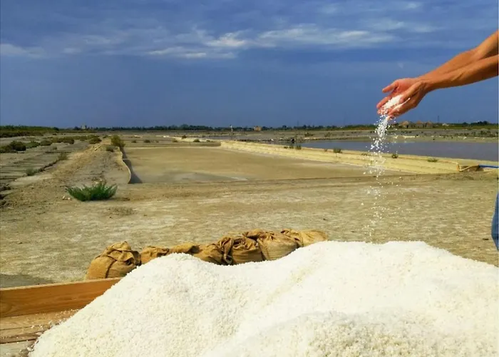 Apartment La Dolce - With Shared Pool And Large Terrace