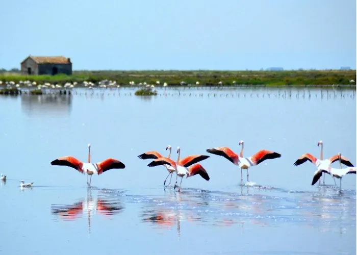 Apartment La Dolce - With Shared Pool And Large Terrace