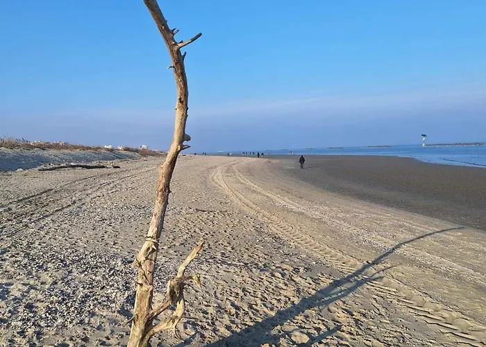 Apartment La Dolce - With Shared Pool And Large Terrace *