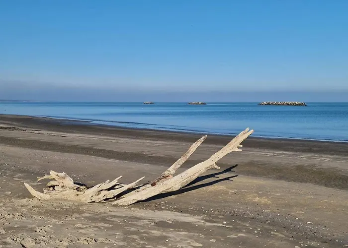 아파트 La Dolce - With Shared Pool And Large Terrace *