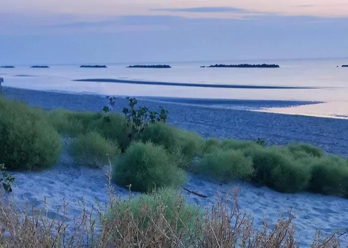 Apartment La Dolce - With Shared Pool And Large Terrace *