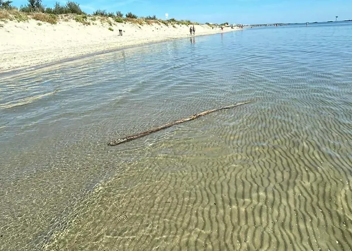 La Dolce - With Shared Pool And Large Terrace